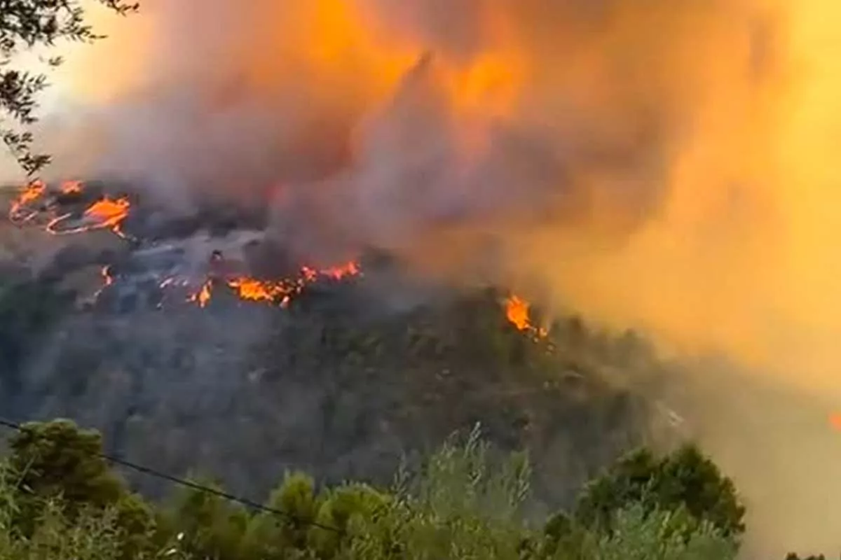 Incendies Kabylie